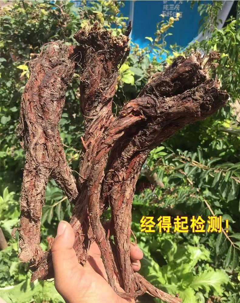 微信图片_20220601094024