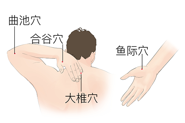 三阴焦在哪个位置