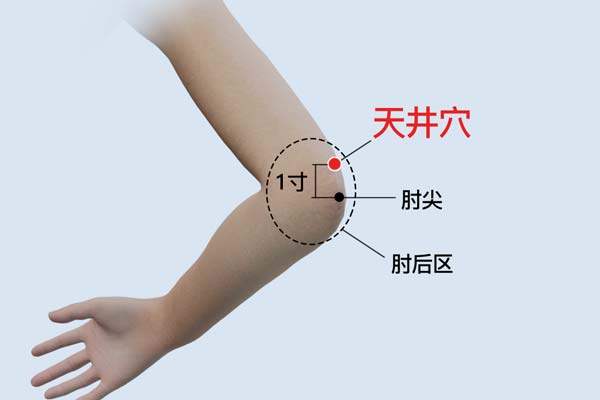 天井的位置和功效与作用